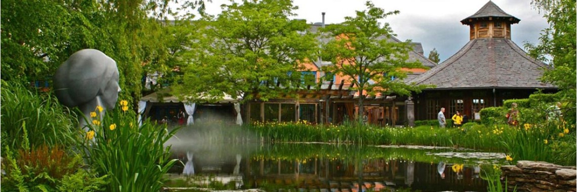 Creating a Harmonious Landscape with a Large Pond & Pond Equipment