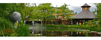 Creating a Harmonious Landscape with a Large Pond & Pond Equipment